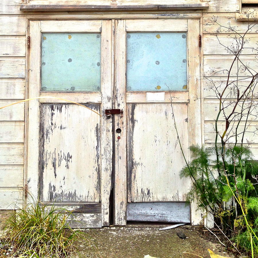 Double Doors #2 Photograph by Julie Gebhardt