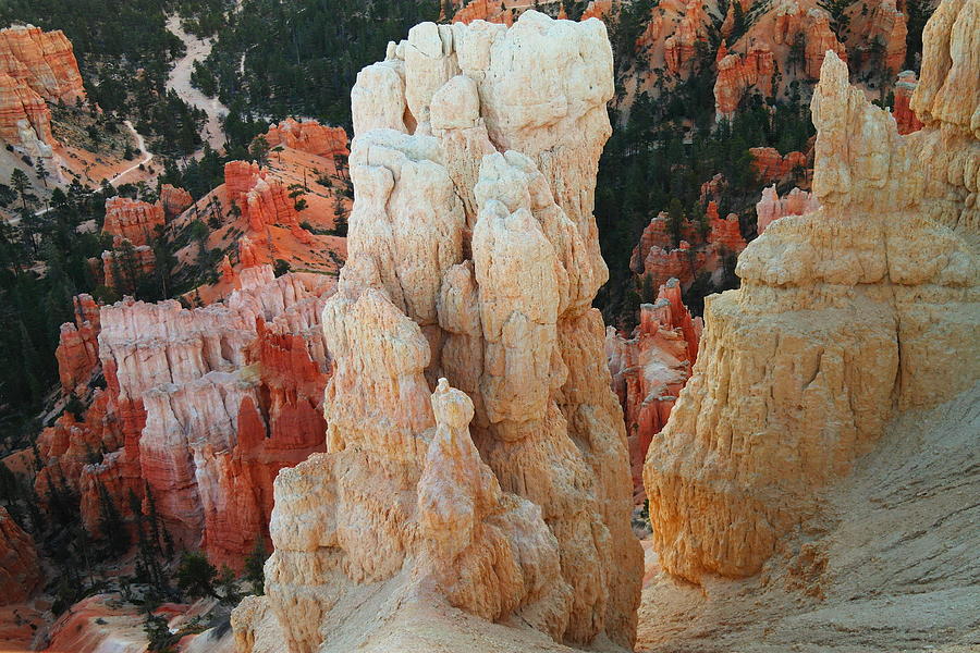 Bryce Canyon National Park Photograph - Down Into Bryce #1 by Jeff Swan