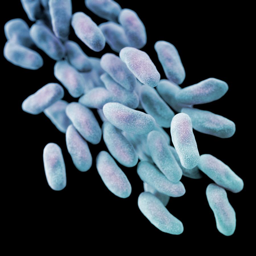 Drug-resistant Enterobacteria Bacteria #2 Photograph by Cdc/ Melissa Brower