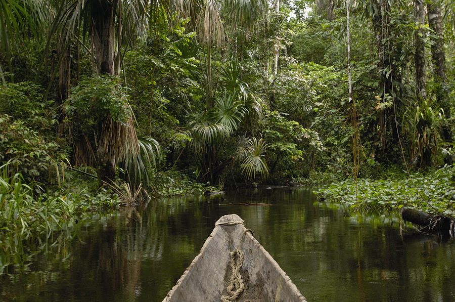 Dugout Canoe In Blackwater Stream #2 Photograph by Pete Oxford