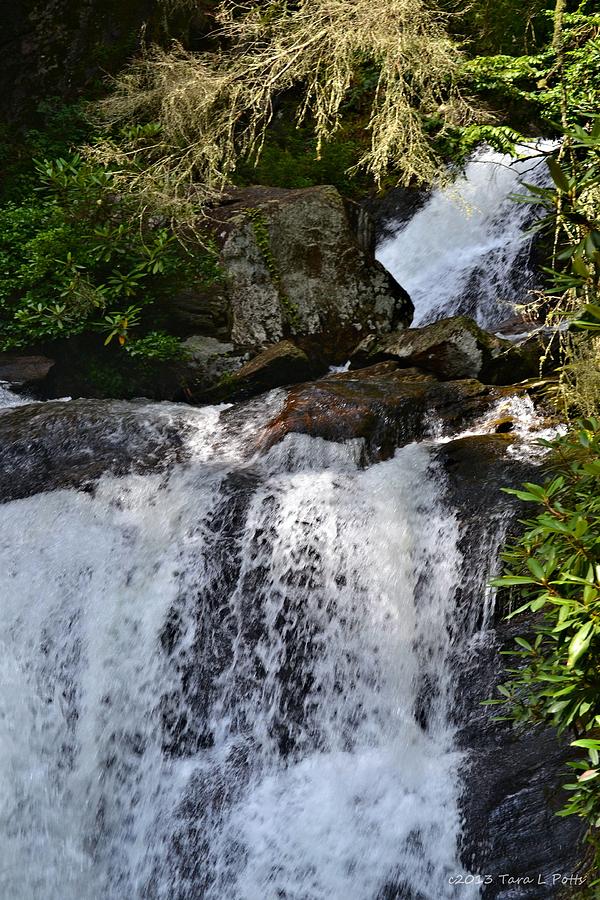 Dukes Creek Falls #2 Photograph by Tara Potts