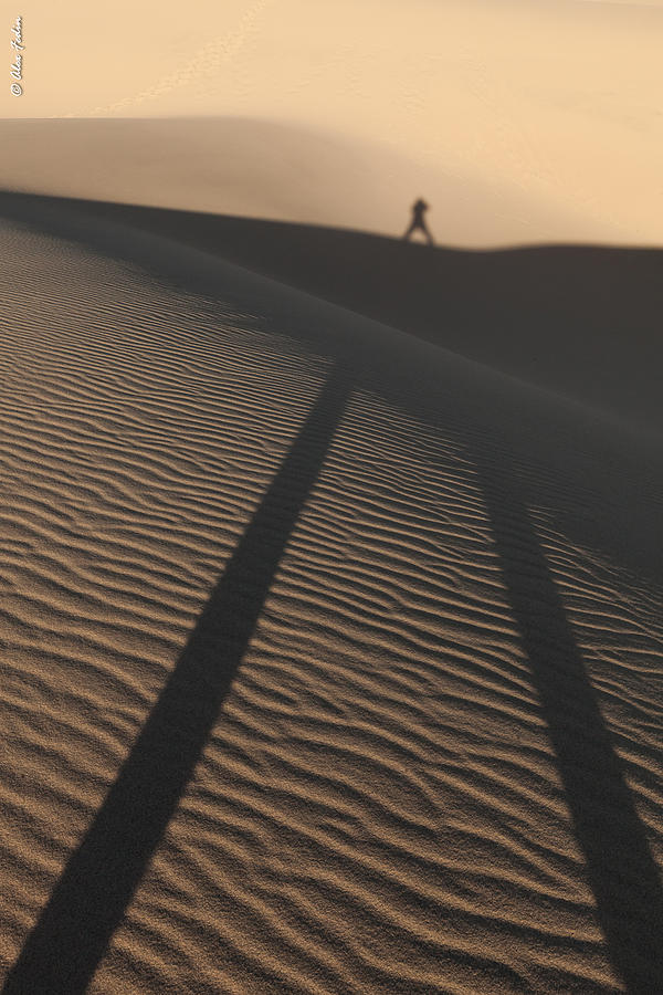 Dunes #2 Photograph by Alexander Fedin
