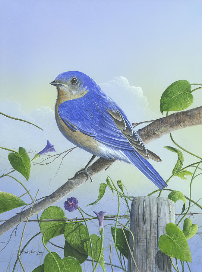 Eastern Bluebird #2 Painting by Mike Brown