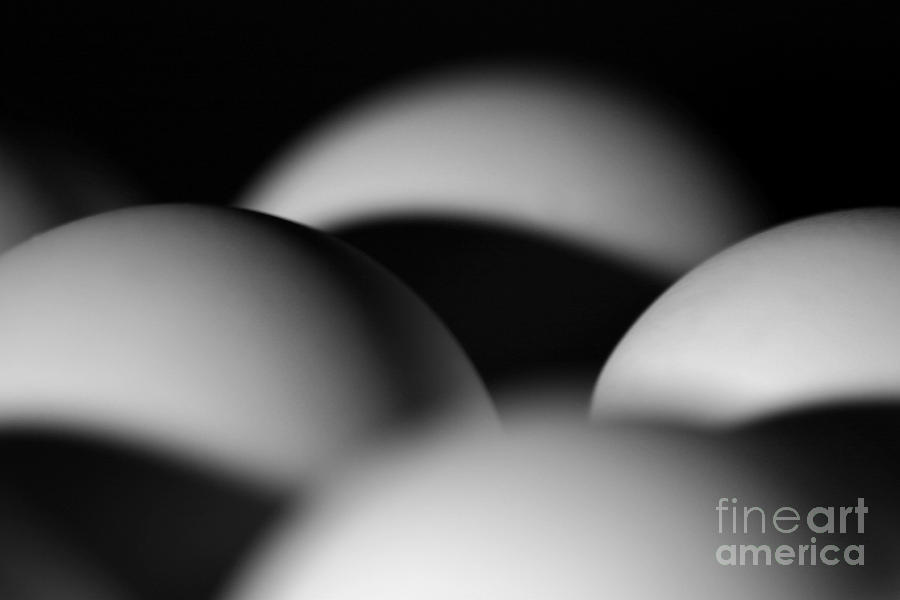 Eggs #2 Photograph by Henrik Lehnerer