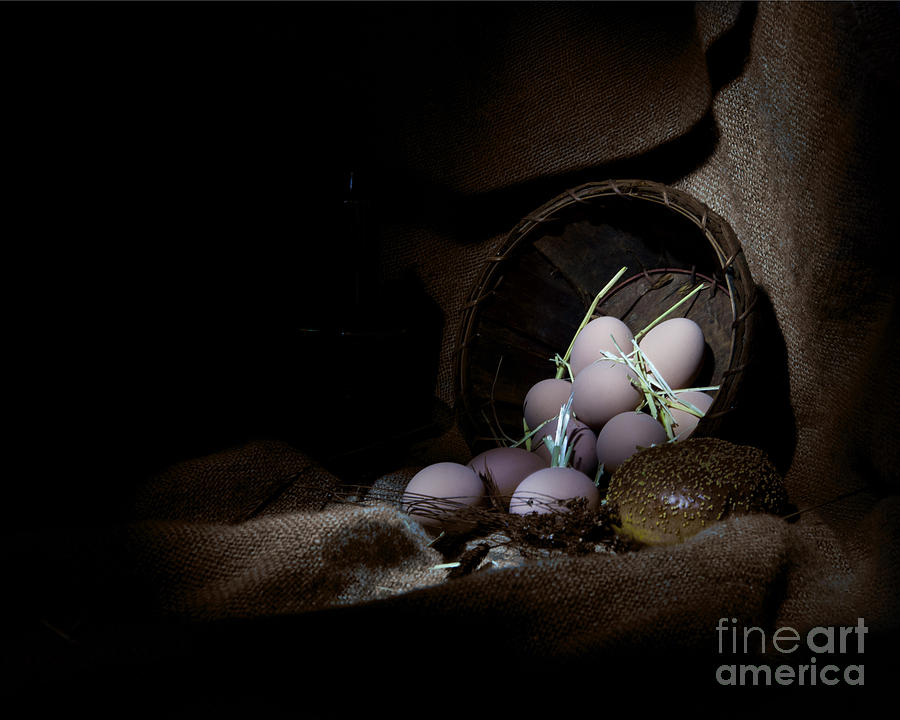 Eggs in a basket #2 Photograph by Cecil Fuselier