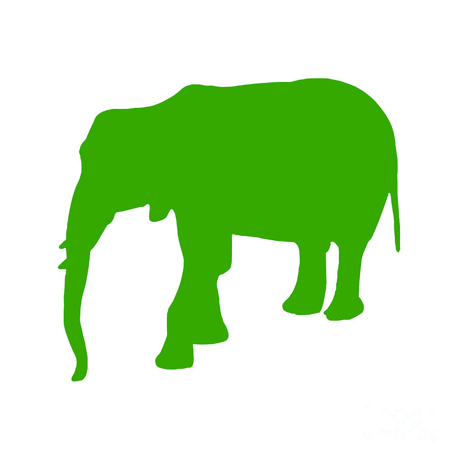 Animal Digital Art - Elephant in Green and White #2 by Jackie Farnsworth
