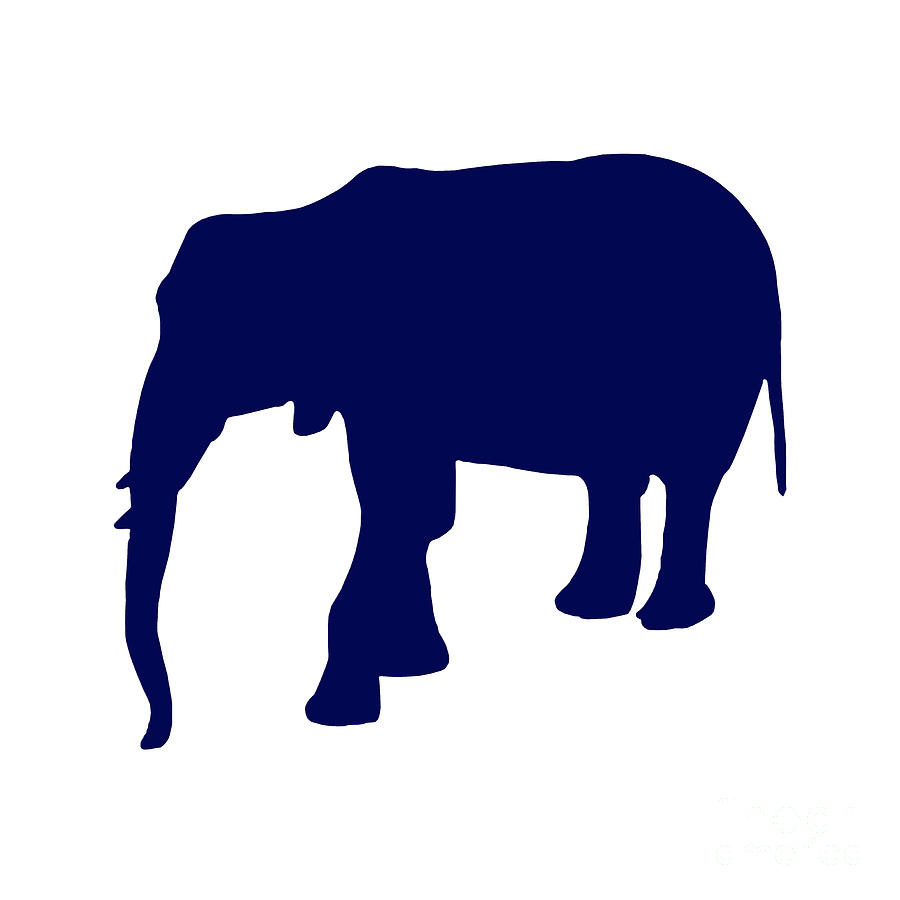 Elephant in Navy and White Digital Art by Jackie Farnsworth