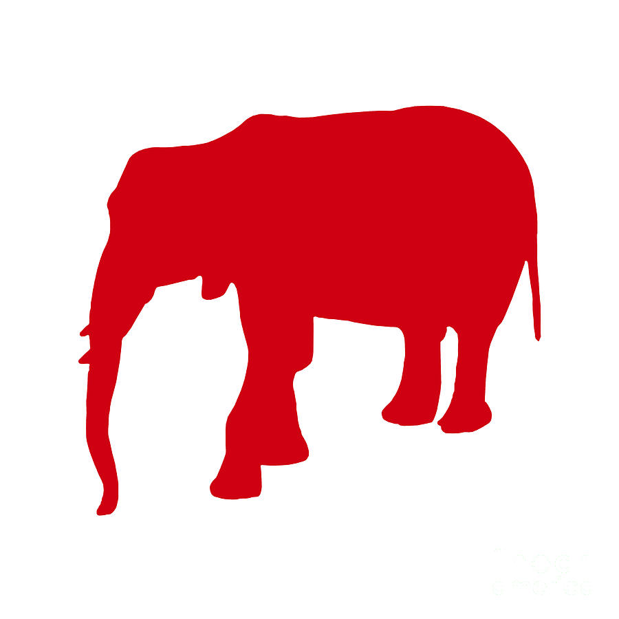 Elephant in Red and White Digital Art by Jackie Farnsworth - Fine Art ...