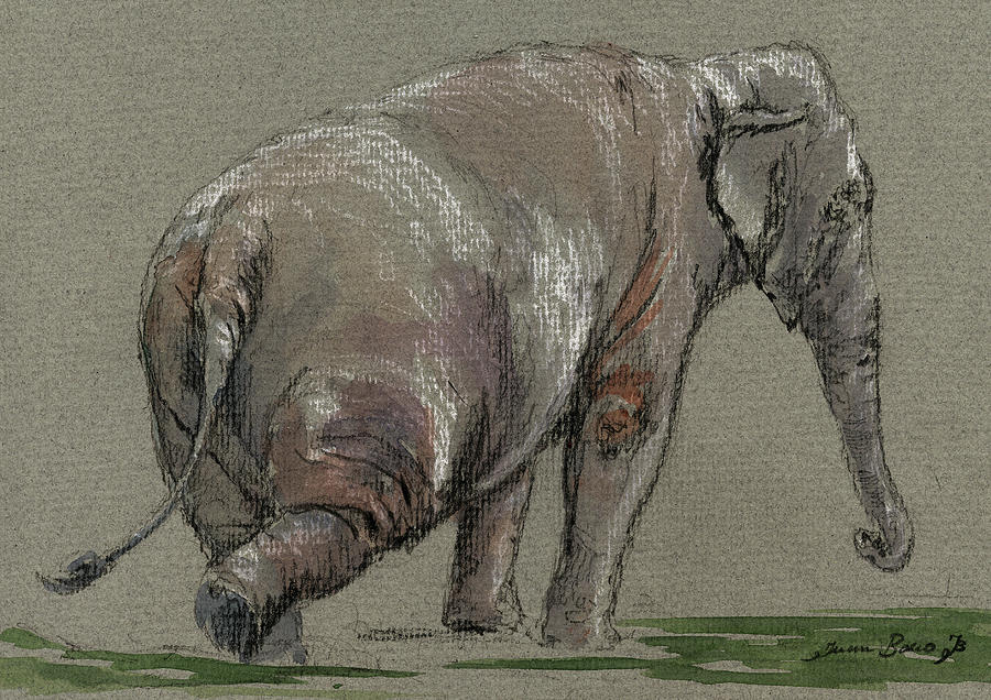Wildlife Painting - Elephant indian #2 by Juan  Bosco