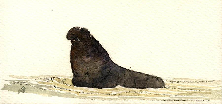 Wildlife Painting - Elephant seal #2 by Juan  Bosco