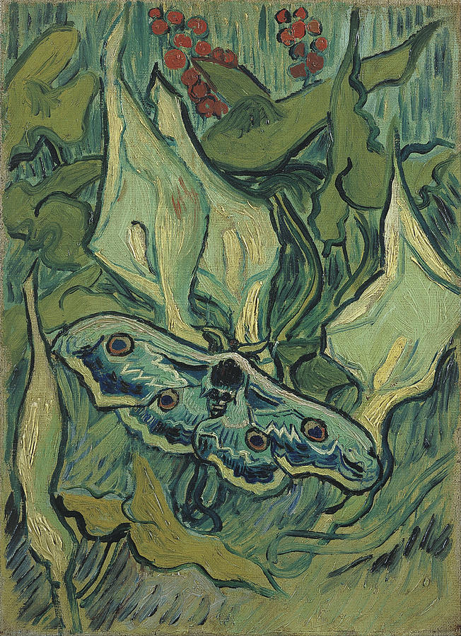 Emperor Moth #2 Painting by Vincent Van Gogh