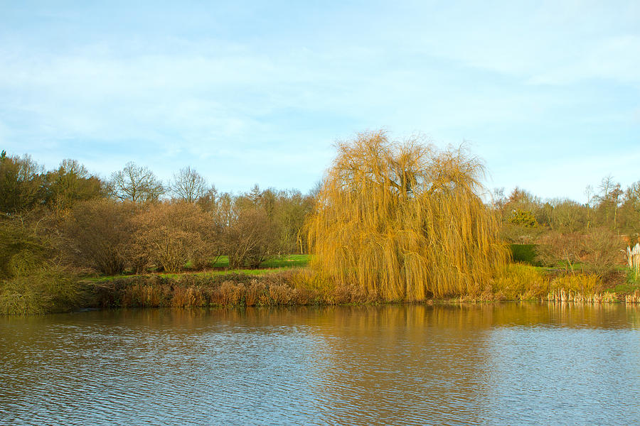 English Countryside Scene On A Cold Winters Day Photograph By Fizzy Image Fine Art America