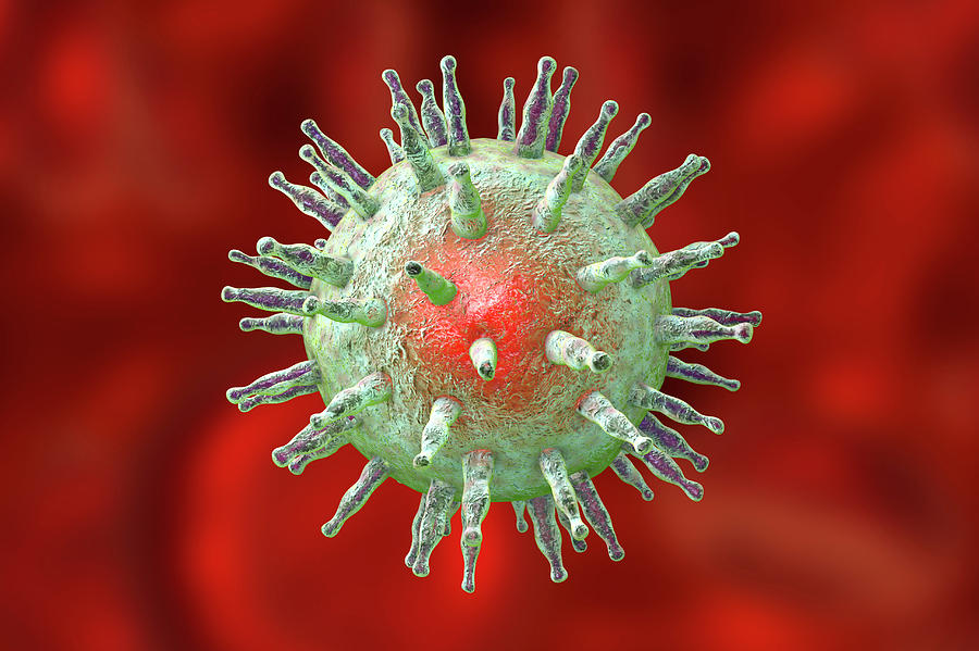 Epstein Barr Virus Photograph By Kateryna Kon Science Photo Library