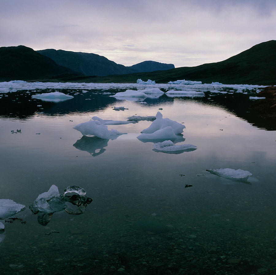 Eroded Icebergs In A Fjord #2 Photograph by Simon Fraser/science Photo Library