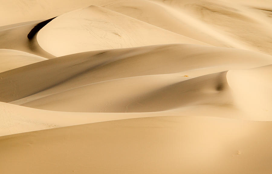 Eureka Dune Photograph by Jean Noren