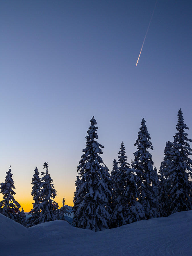 Evening Snowscape Photograph