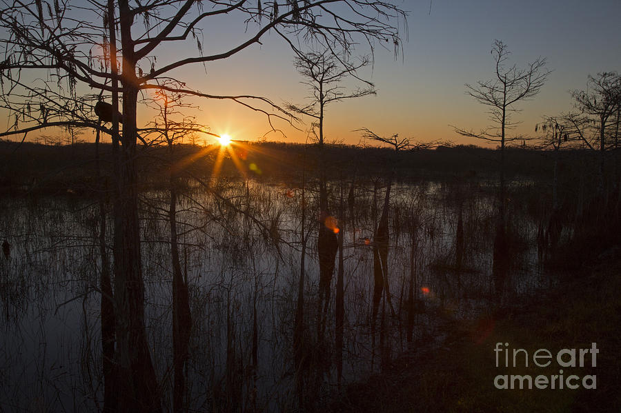 Everglades Sunrise #2 Photograph by Jim West