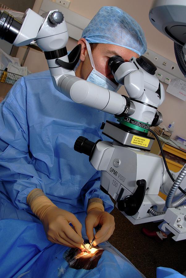 Eye Cataract Surgery Photograph by Aj Photo/science Photo Library ...