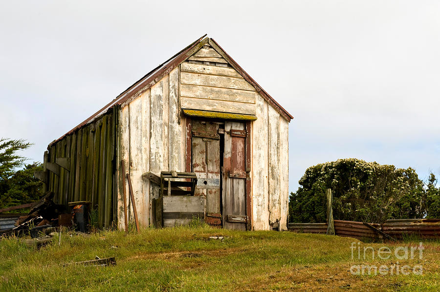 Falkland Island Farm #2 Photograph by John Shaw