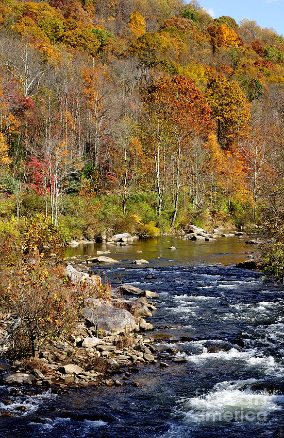 Fall along Cherry River Photograph by Thomas R Fletcher