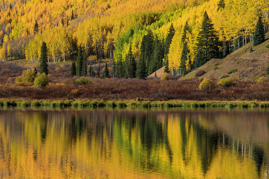 Fall Aspen Trees Reflected On Crystal Photograph by Adam Jones | Fine ...