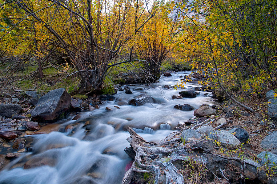 Fall at Big Pine Creek #2 Photograph by Cat Connor