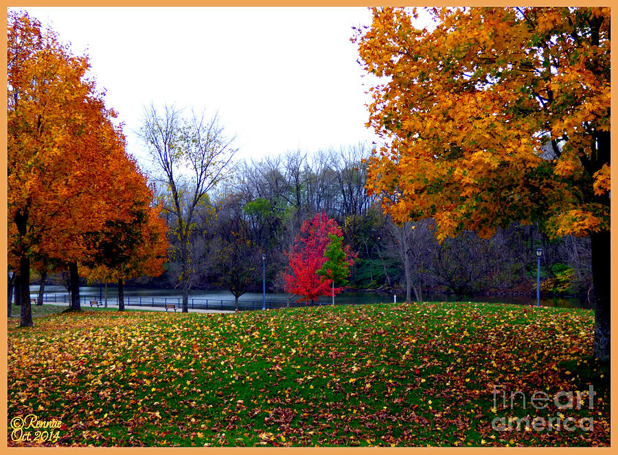 Nature Photograph - Fall Colors #2 by Rennae Christman