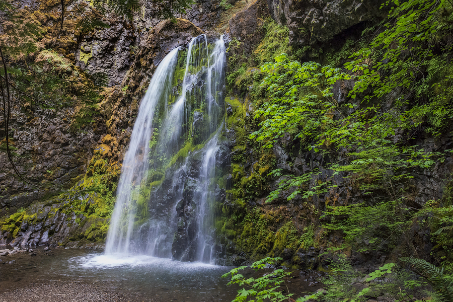 Waterfall Photograph - Fall Creek Falls by Loree Johnson