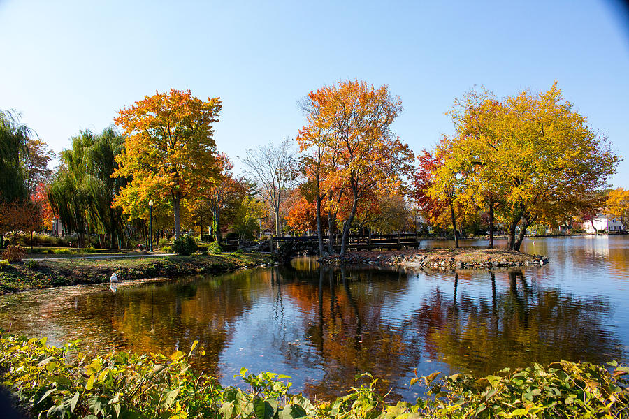 Fall Foliage at Heckscher Park Huntington NY #2 Photograph by Susan Jensen