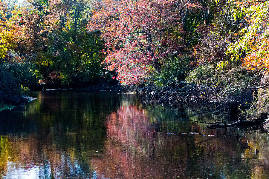 Fall Foliage at Nissequogue River #2 Photograph by Susan Jensen