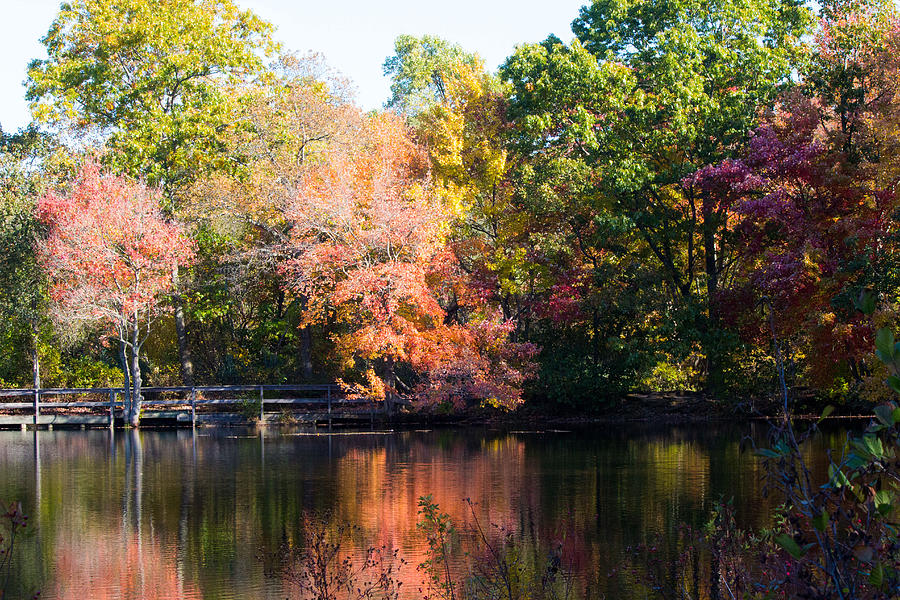Fall Foliage at Twin Ponds  #2 Photograph by Susan Jensen