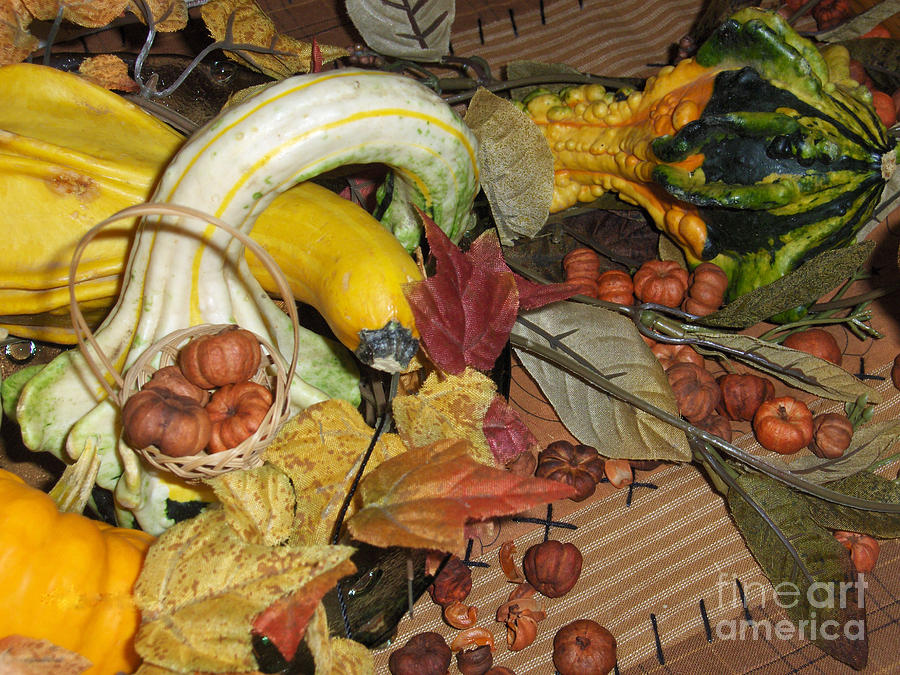 Fall Harvest Photograph by Brenda Brown