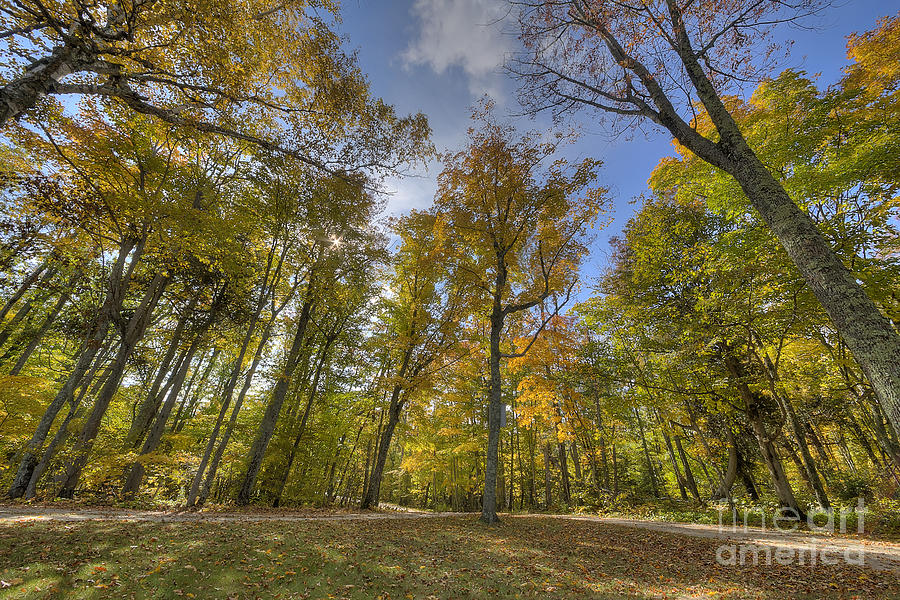 Fall Photograph - Fall in Door County #2 by Twenty Two North Photography