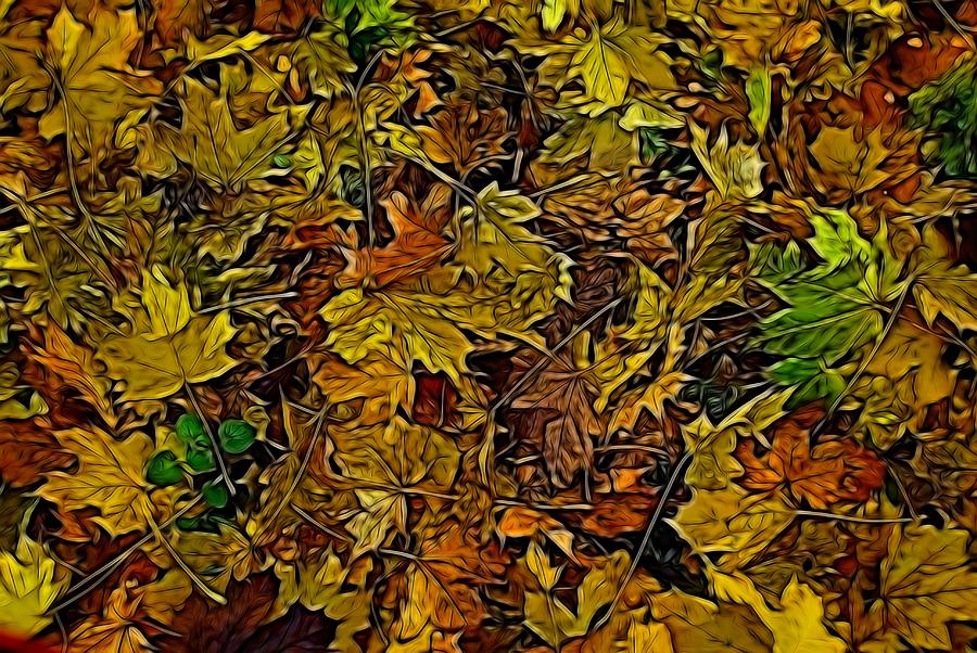Fallen leaves #2 Photograph by Ron Harpham