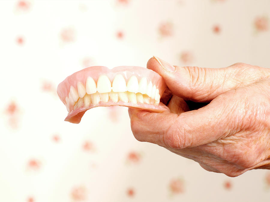 False Teeth #2 Photograph by Kate Jacobs/science Photo Library