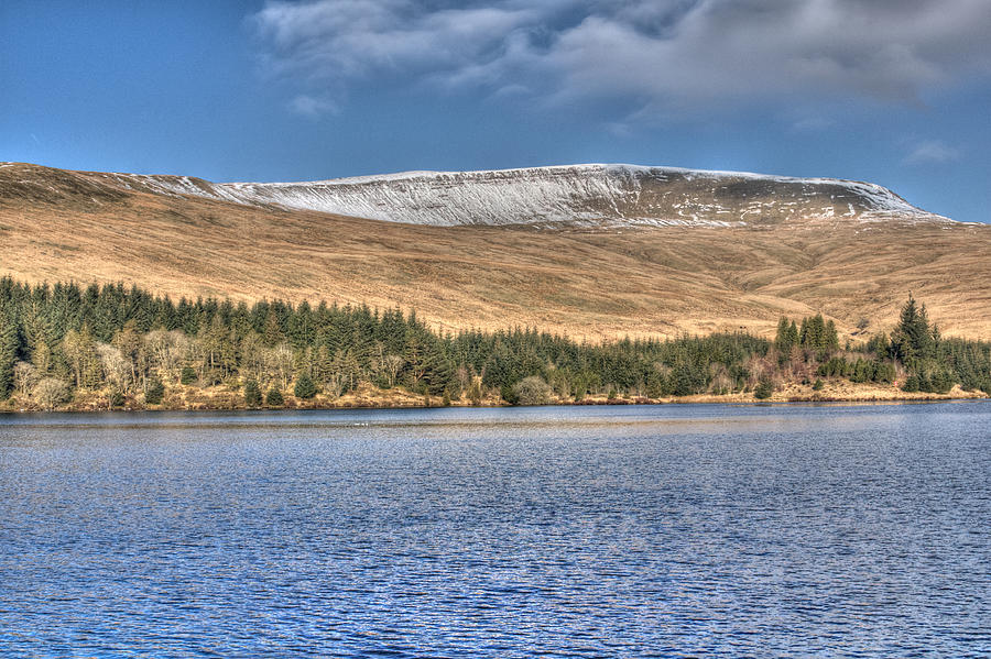 Tree Photograph - Fan Fawr and Beacons Reservoir #2 by Steve Purnell