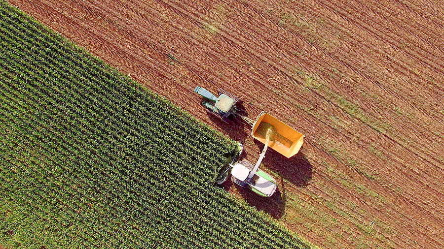 Farm machines harvesting corn for feed or ethanol #2 Photograph by JamesBrey