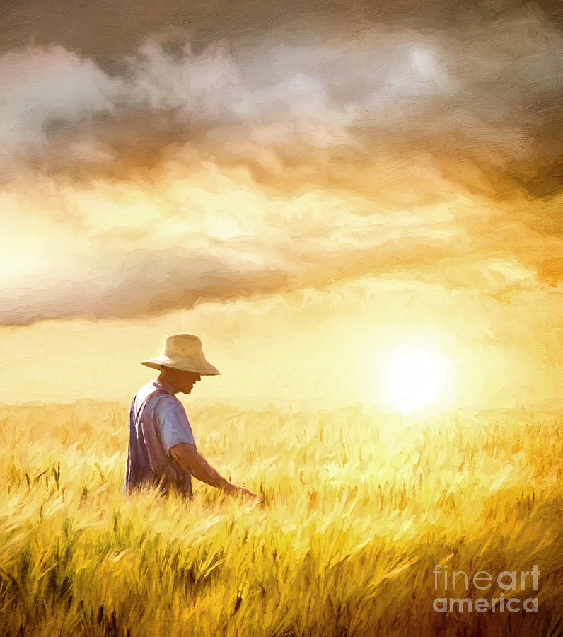 Farmer checking his crop of wheat/ digital painting  Photograph by Sandra Cunningham