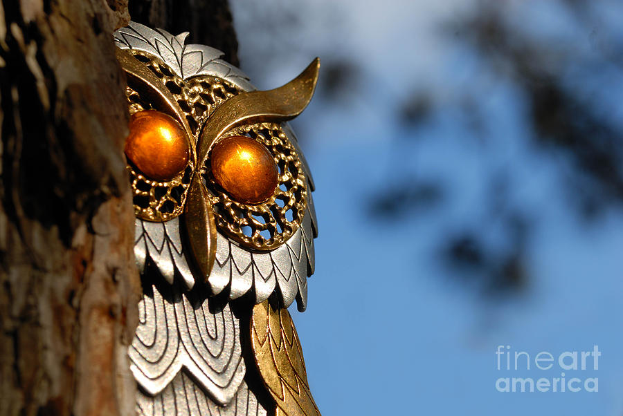 Feather Photograph - Faux Owl with Golden Eyes #2 by Amy Cicconi