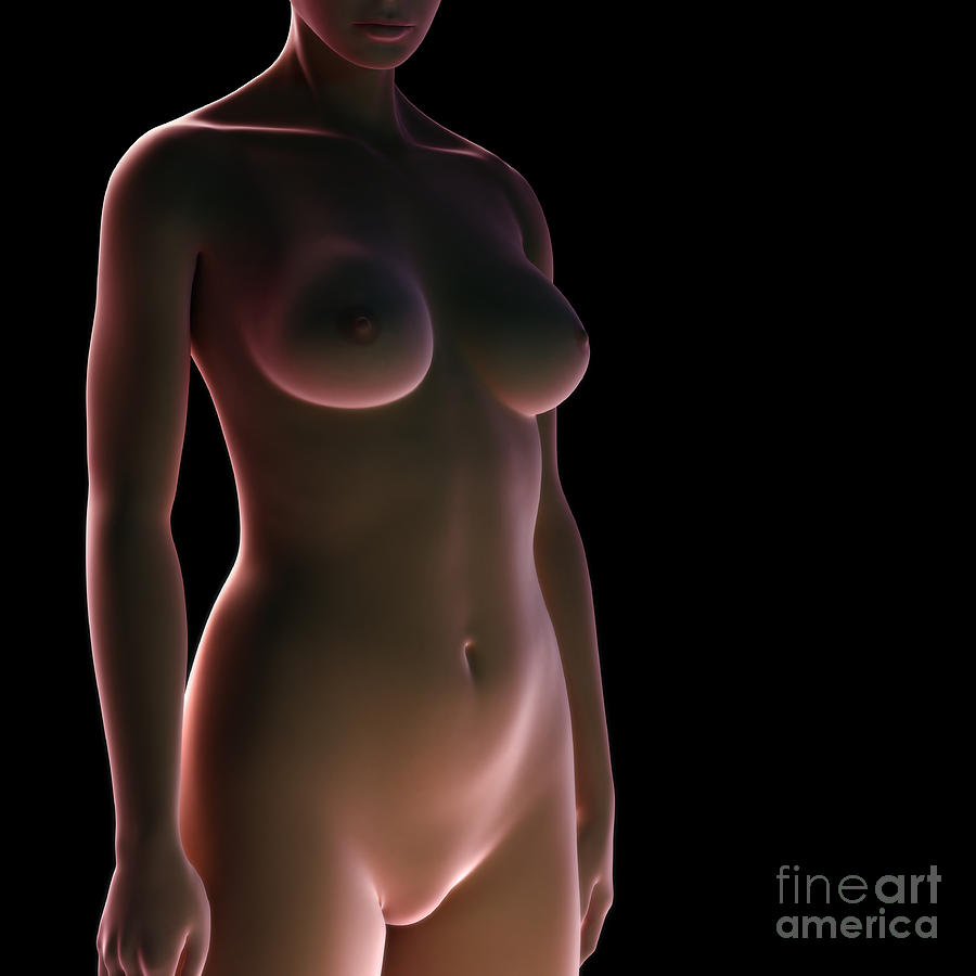 Surface Anatomy Photograph - Female Surface Anatomy #2 by Science Picture Co