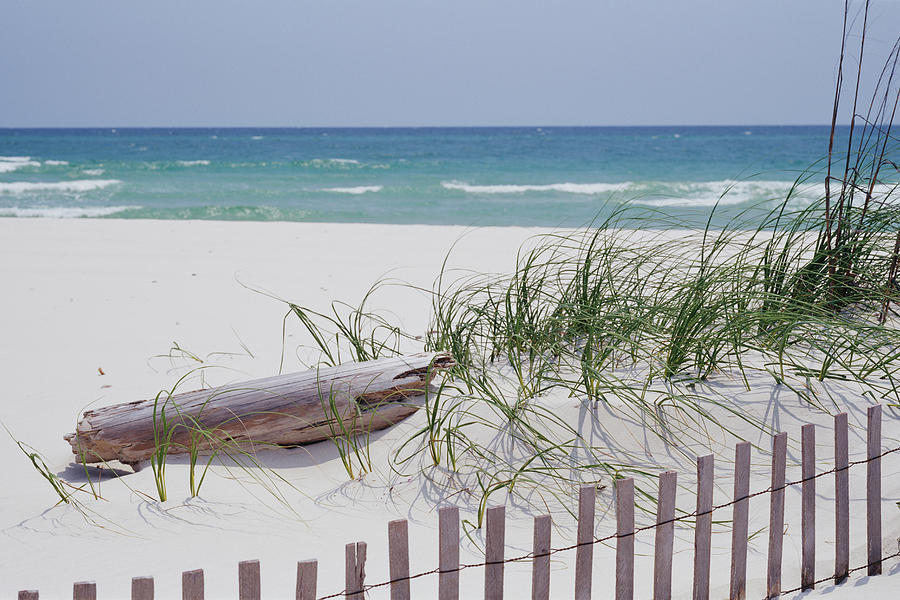 Fence On The Beach, Alabama, Gulf #2 Photograph by Panoramic Images