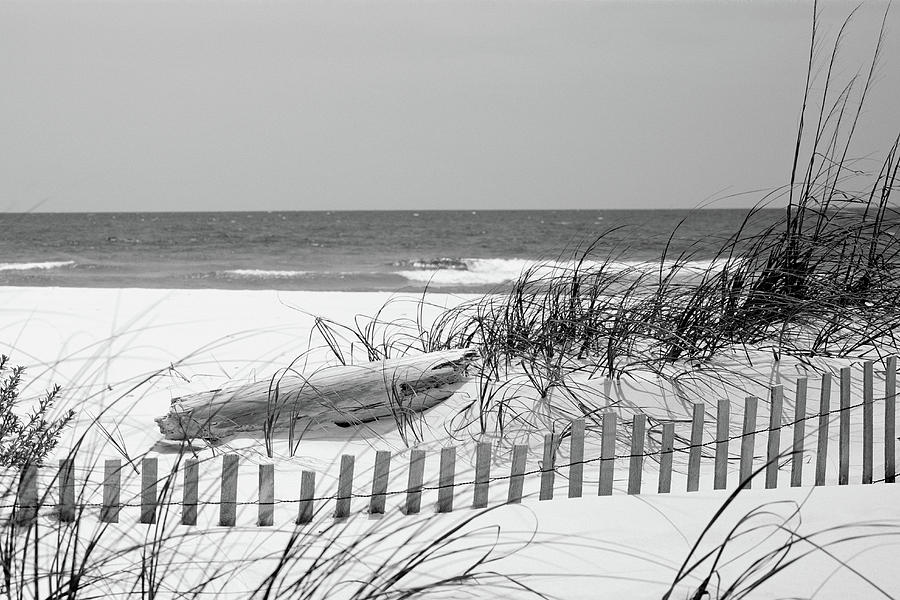 Fence On The Beach, Bon Secour National #2 Photograph by Panoramic Images