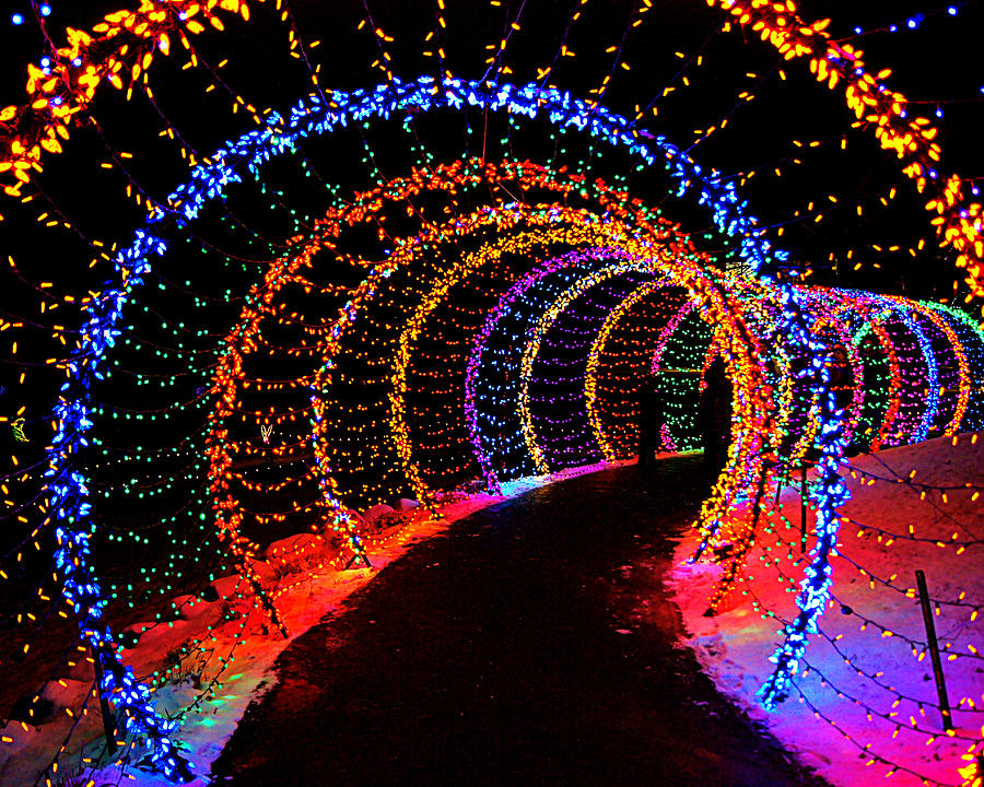 Festival Of Lights Christmas At The Botanical Gardens Photograph By Carol Toepke