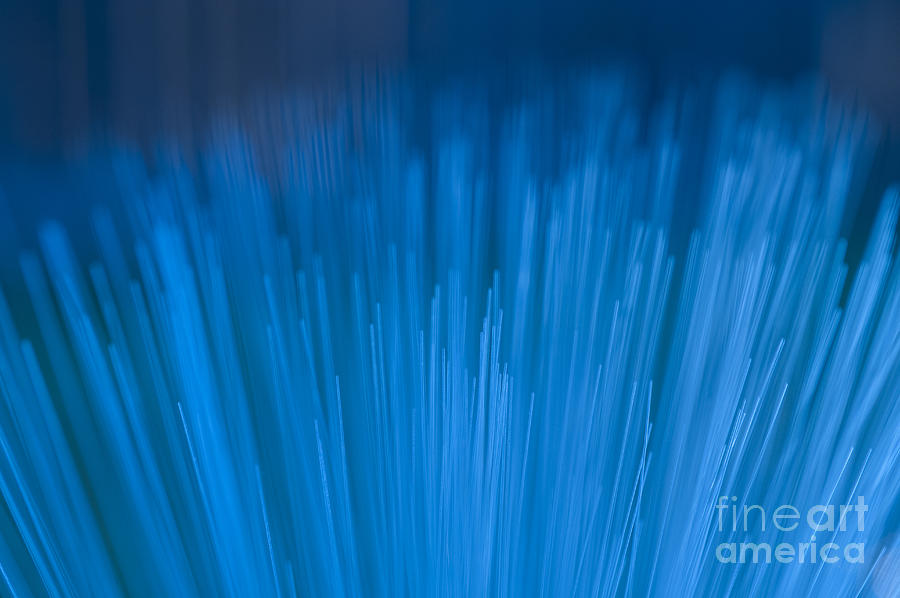 Fiber Optics close-up abstract #2 Photograph by Jim Corwin