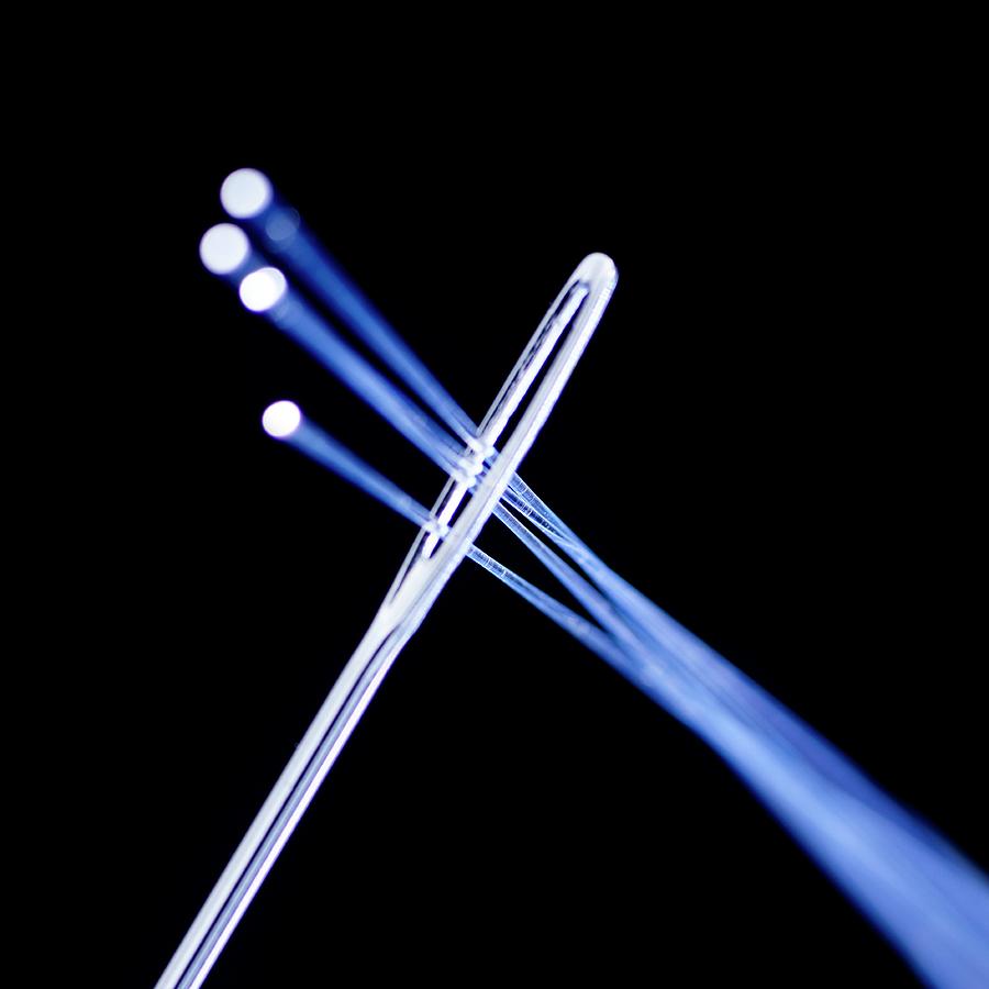 Fibre Optics And Needle #2 Photograph by Science Photo Library