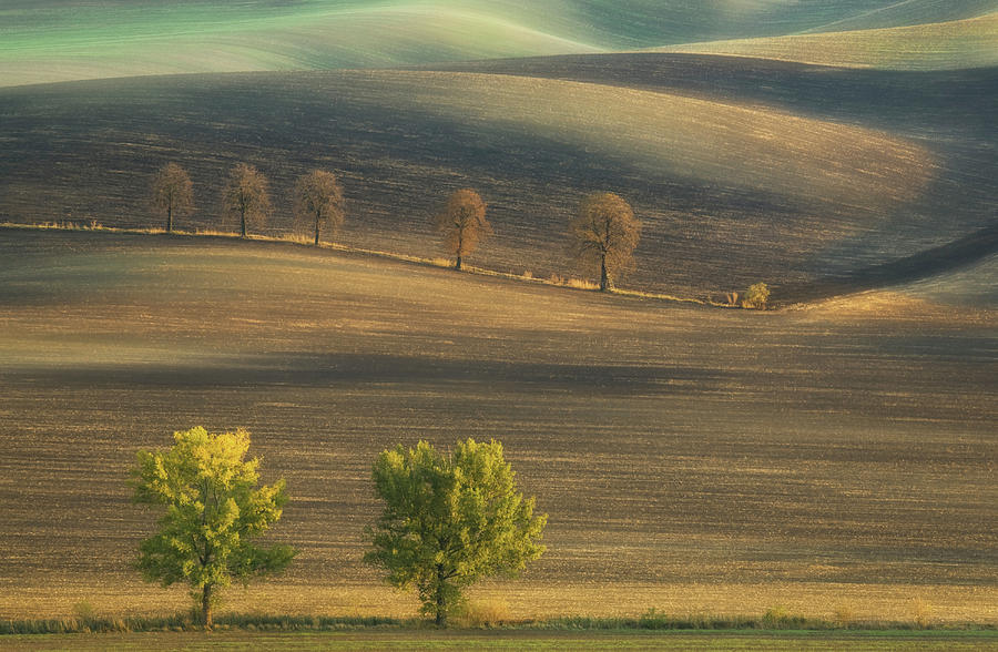 Fields... #2 Photograph by Krzysztof Browko