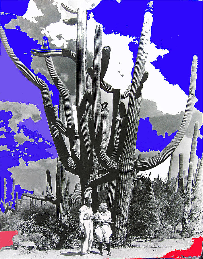 Film Homage Victor Fleming Jean Harlow Bombshell 1933 Saguaro Natl Monument Tucson 2008 #1 Photograph by David Lee Guss