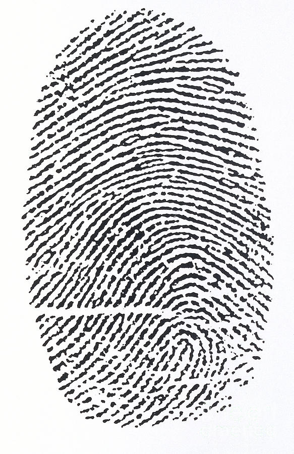 Unique Photograph - Fingerprint #2 by Dorling Kindersley