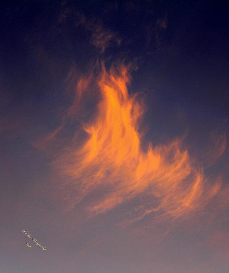 Fire In The Sky #2 Photograph by Jeanette C Landstrom