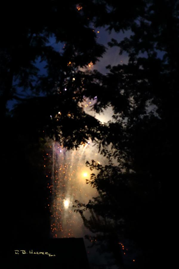 Fireworks Forest #2 Photograph by R B Harper